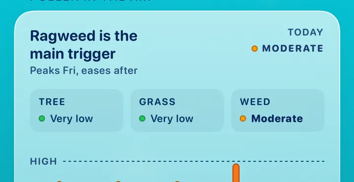 Pollen in the Air in Atlanta: ragweed is the main trigger, moderate today, peaking Friday and easing after. Tree very low, grass very low, weed moderate.